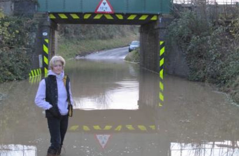 Cllr Alison Foster